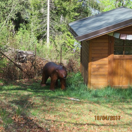Orso - baita Monde Bondone, loc. Vanezze